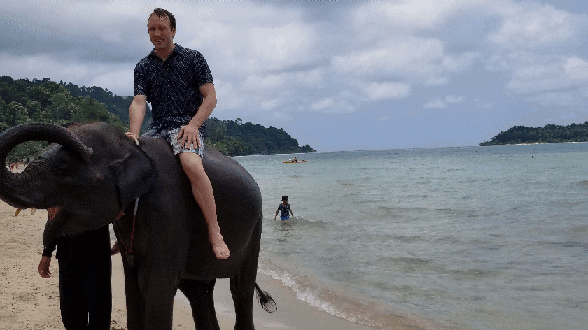 Taking an elephant to the ocean in thailand