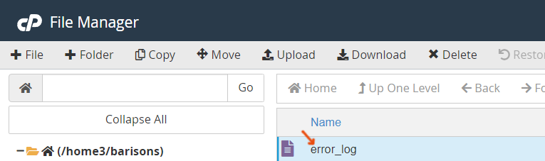 Bluehost error logs