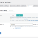 Litespeed cache browser cache settings
