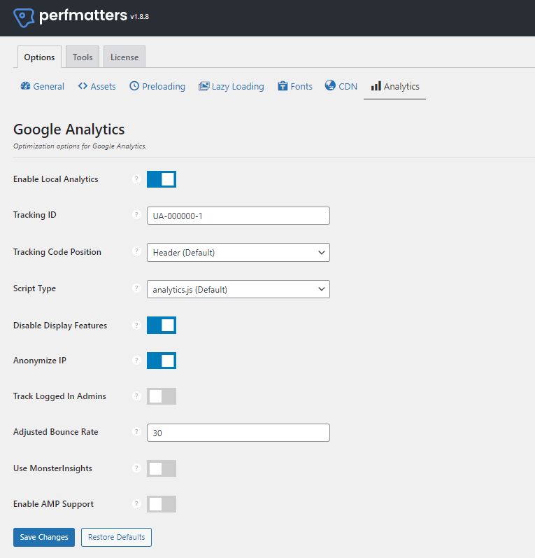 Perfmatters analytics settings
