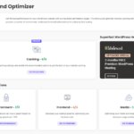Siteground optimizer dashboard