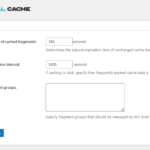 W3 total cache fragment cache settings