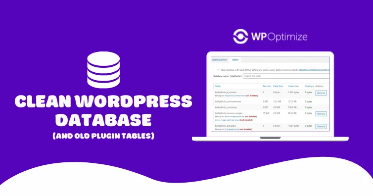 Clean wordpress database