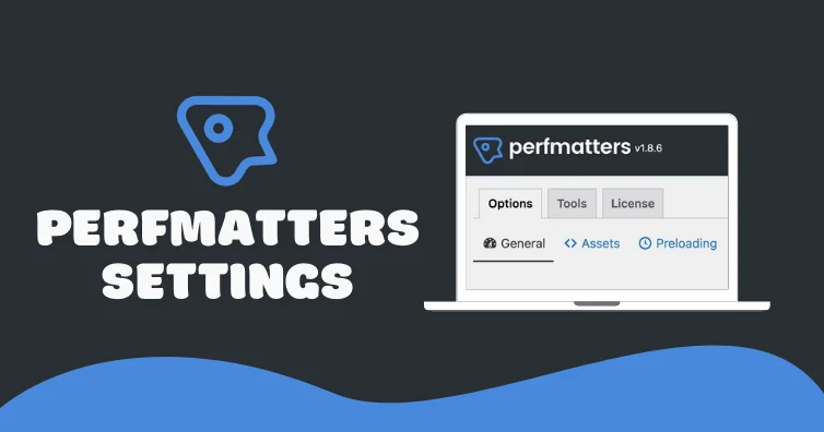 Perfmatters settings